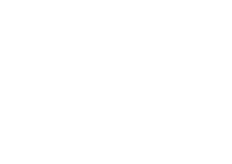 Logo - Zauberkünstler Florian Klein